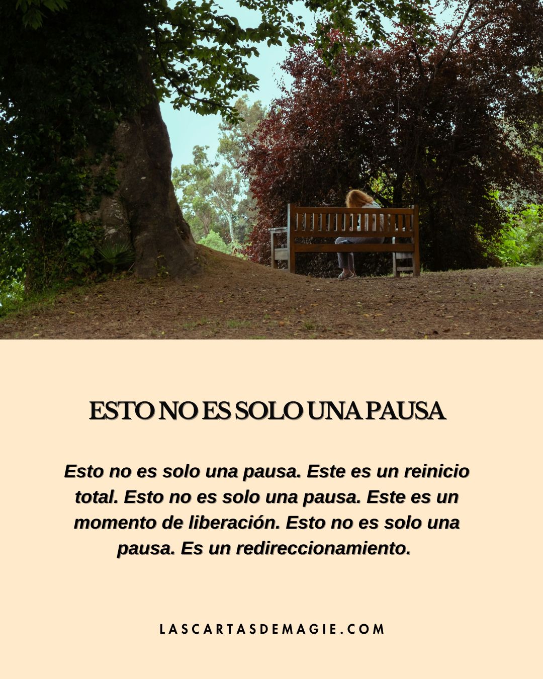 Esto no es solo una pausa - Las Cartas de Magie