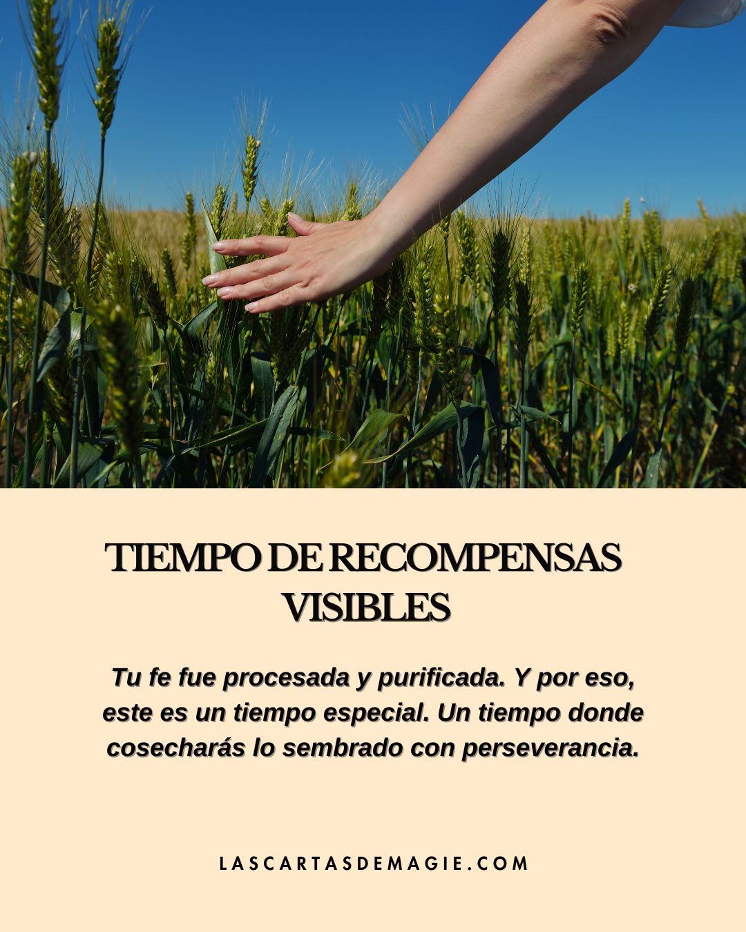 Tiempo de recompensas visibles - Las Cartas de Magie