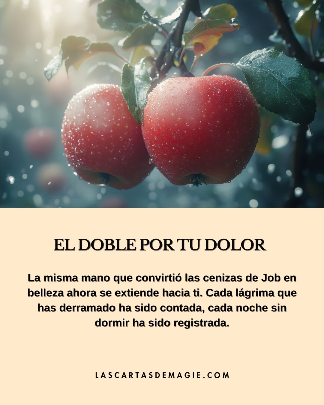 El Dios que restaura el doble - Las Cartas de Magie