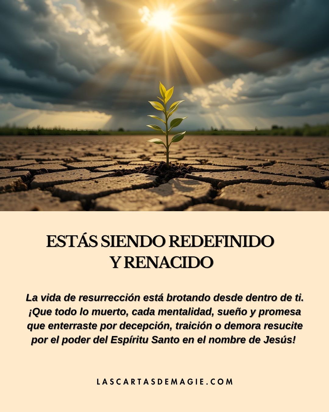 Estás siendo redefinido y renacido - Las Cartas de Magie
