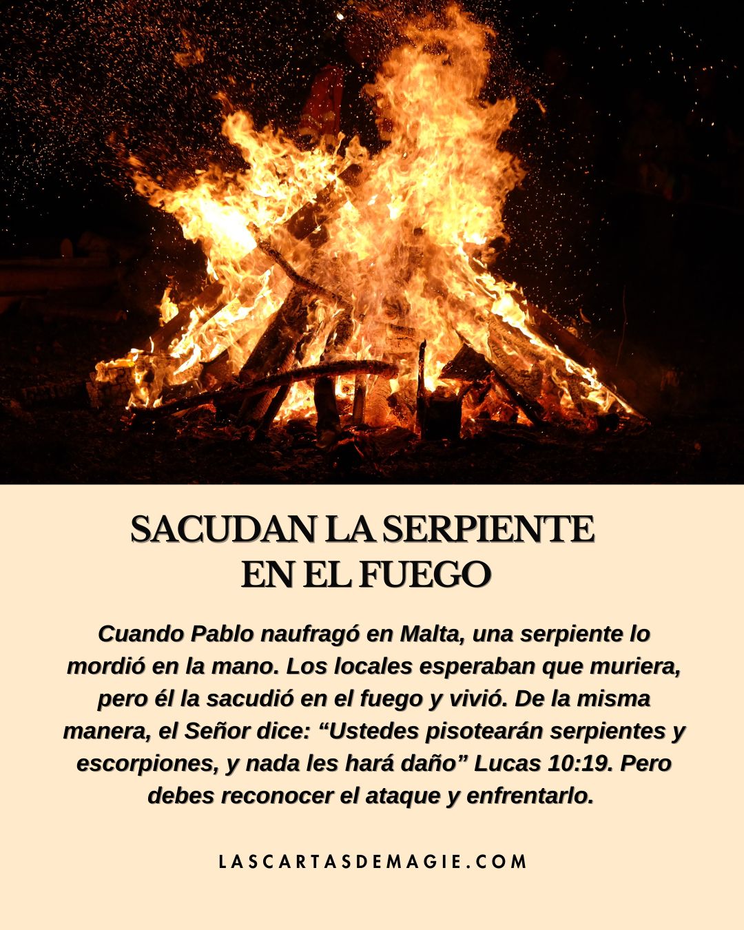 Sacudan la serpiente en el fuego - Las Cartas de Magie
