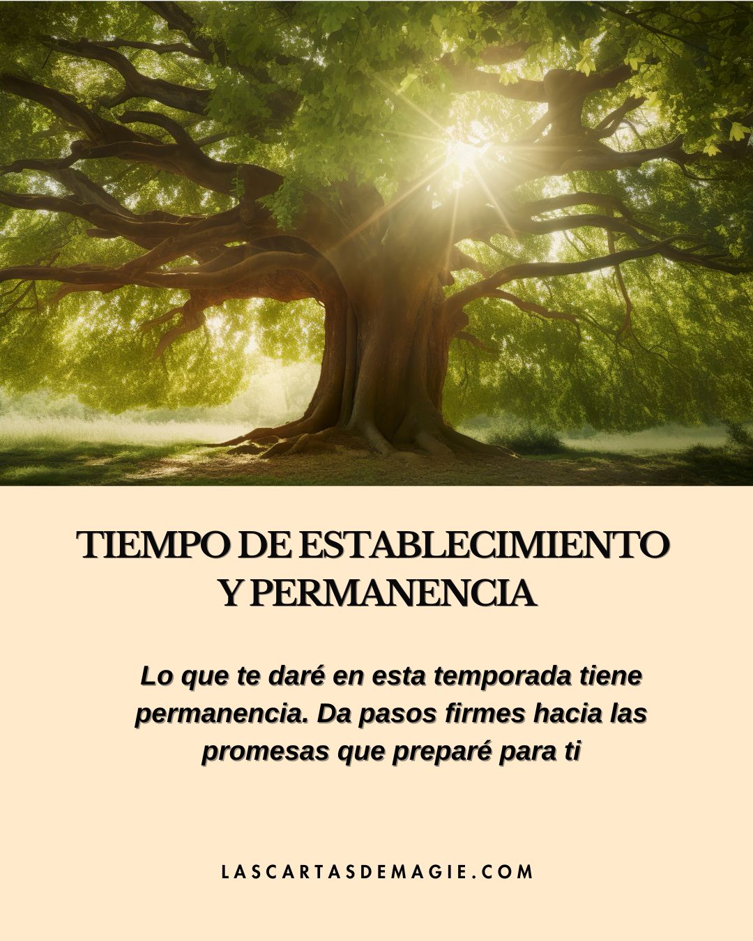 Tiempo de establecimiento y permanencia - Las Cartas de Magie