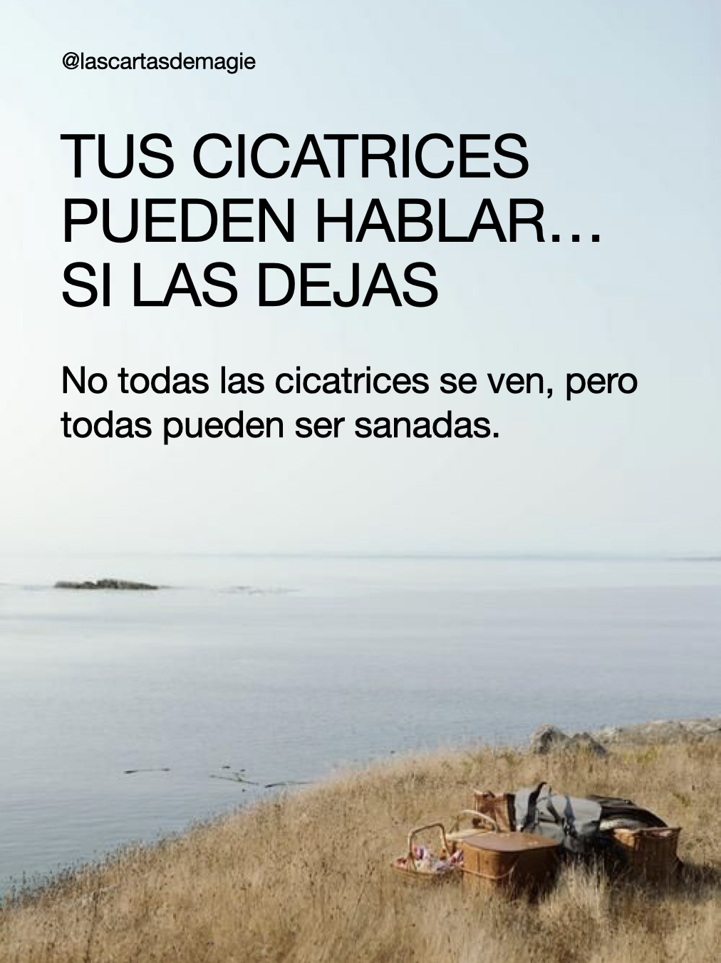 Tus Cicatrices Pueden Hablar… si las Dejas - Las Cartas de Magie
