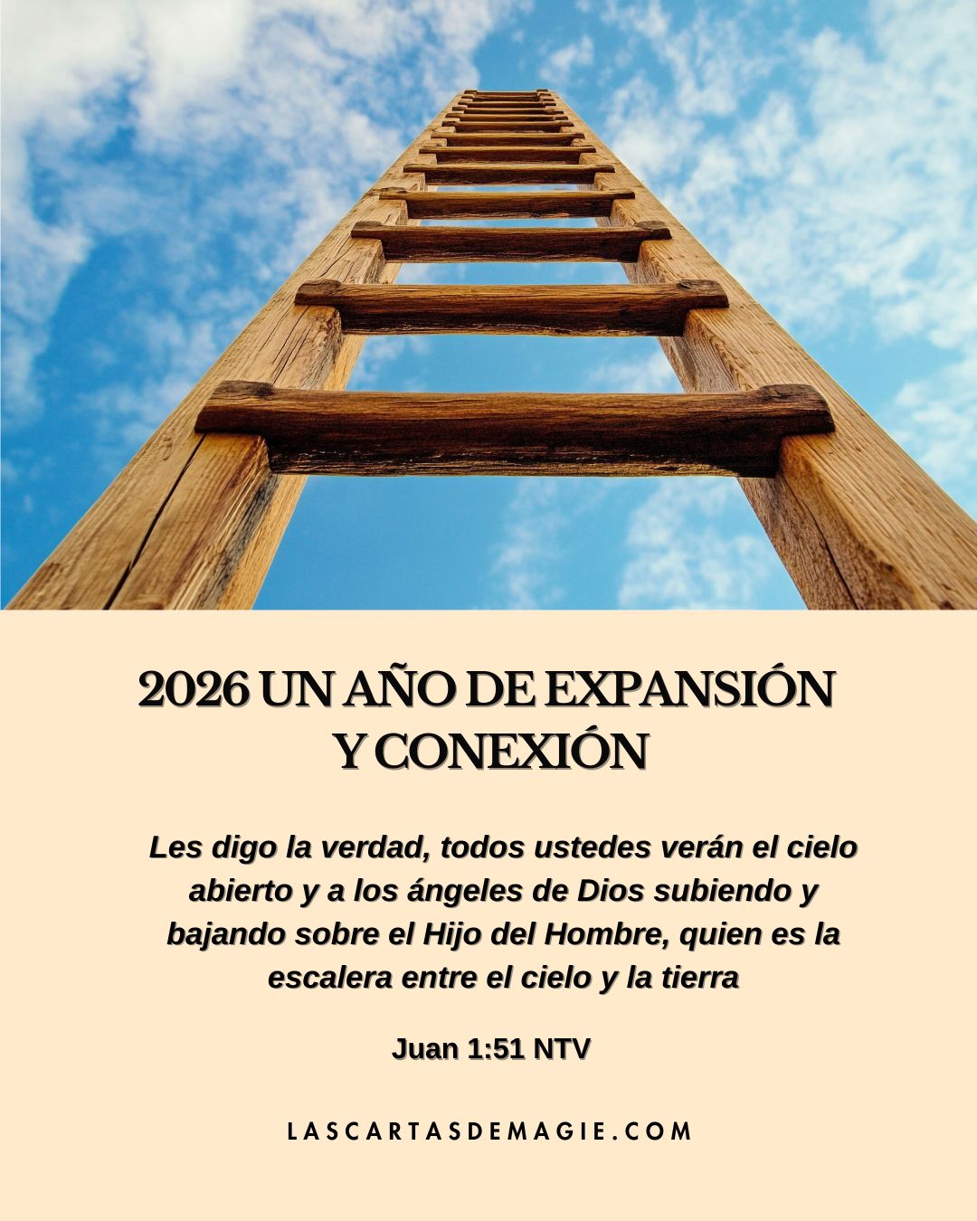 2026 un año de expansión y conexión - Las Cartas de Magie