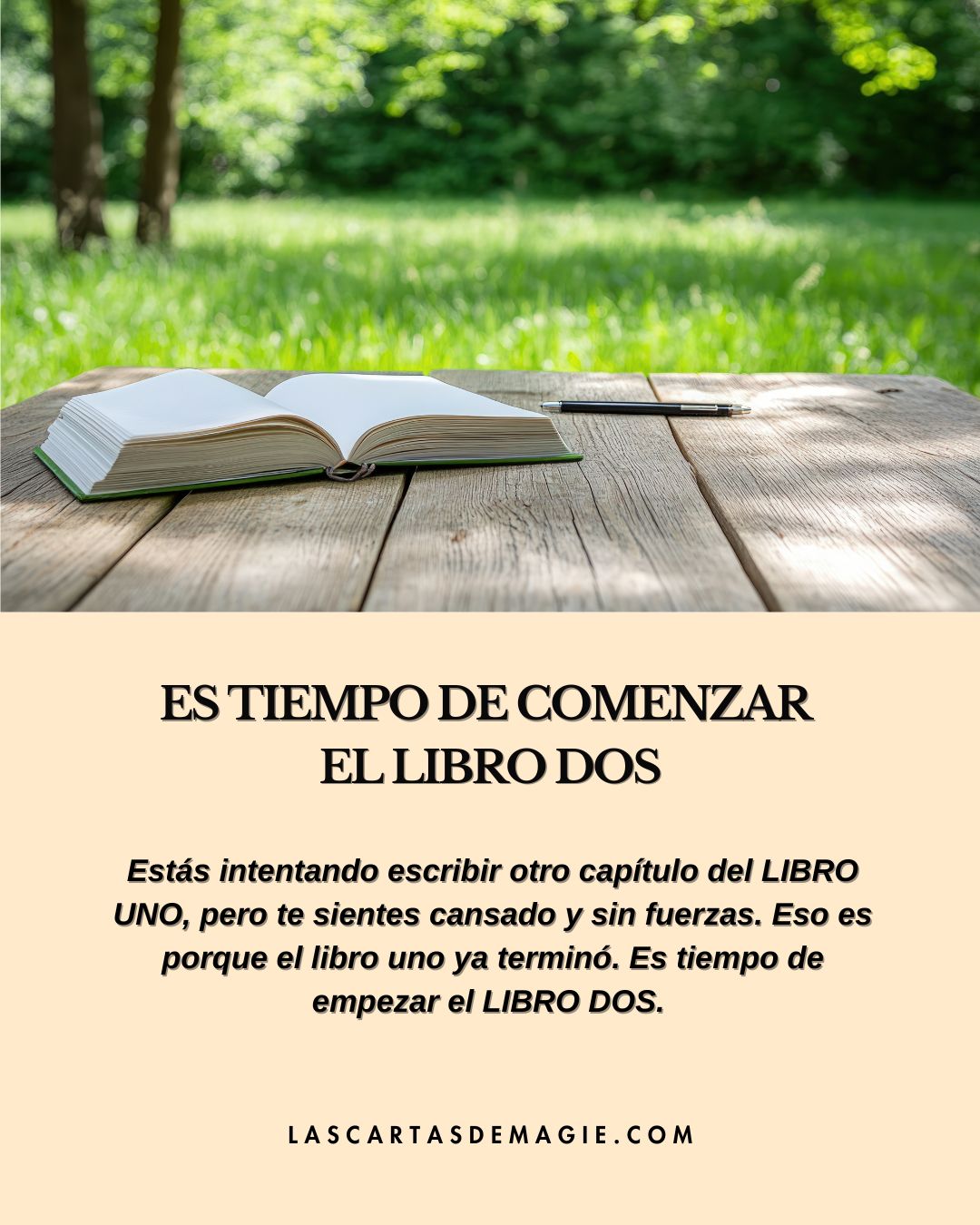 Es tiempo de comenzar el libro dos - Las Cartas de Magie
