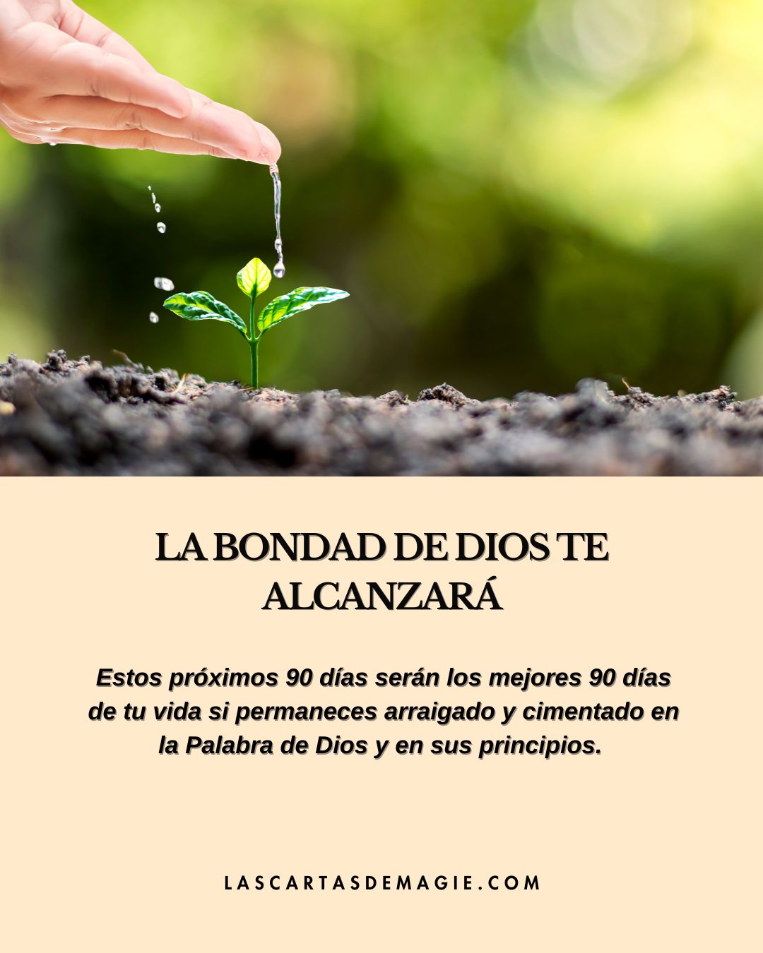La bondad de Dios te alcanzará - Las Cartas de Magie