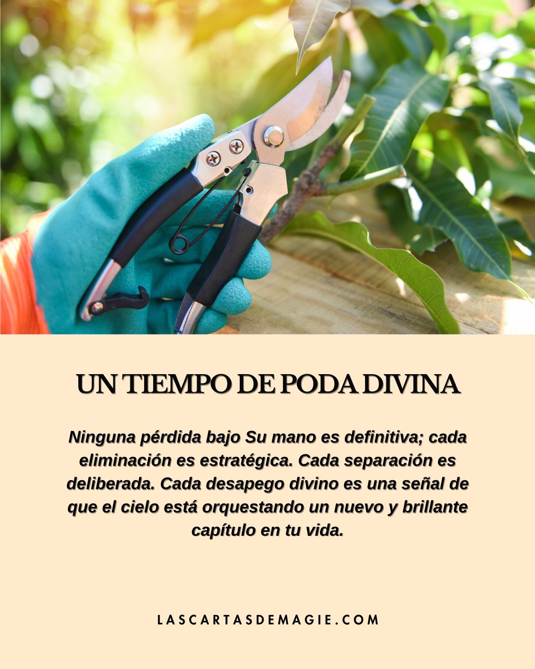 Un tiempo de poda divina - Las Cartas de Magie