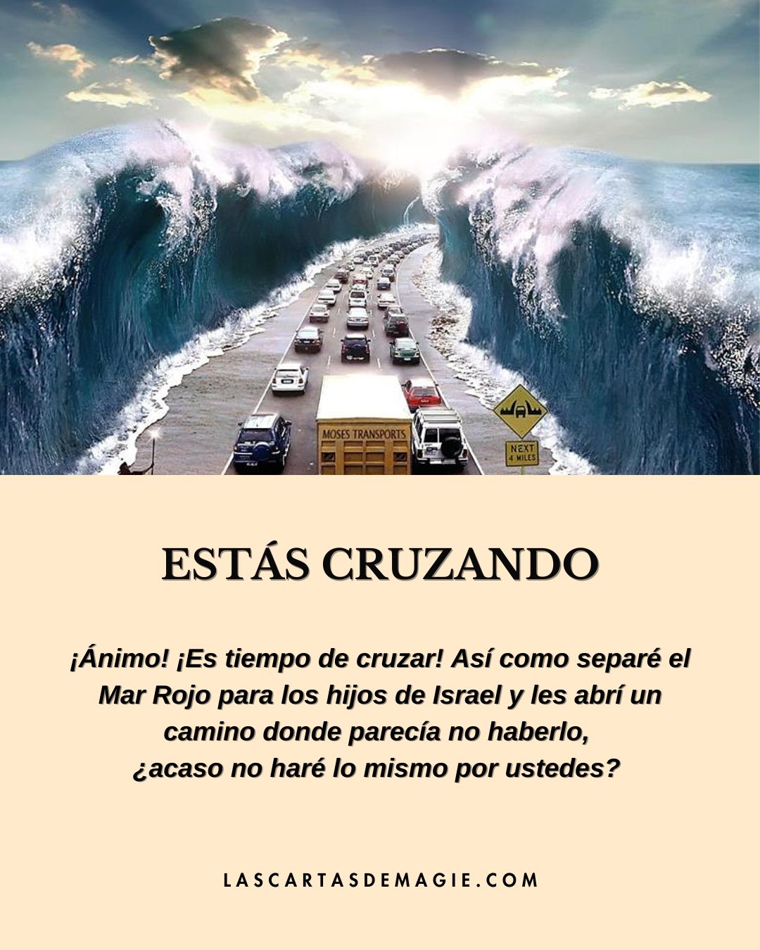 Estás cruzando - Las Cartas de Magie
