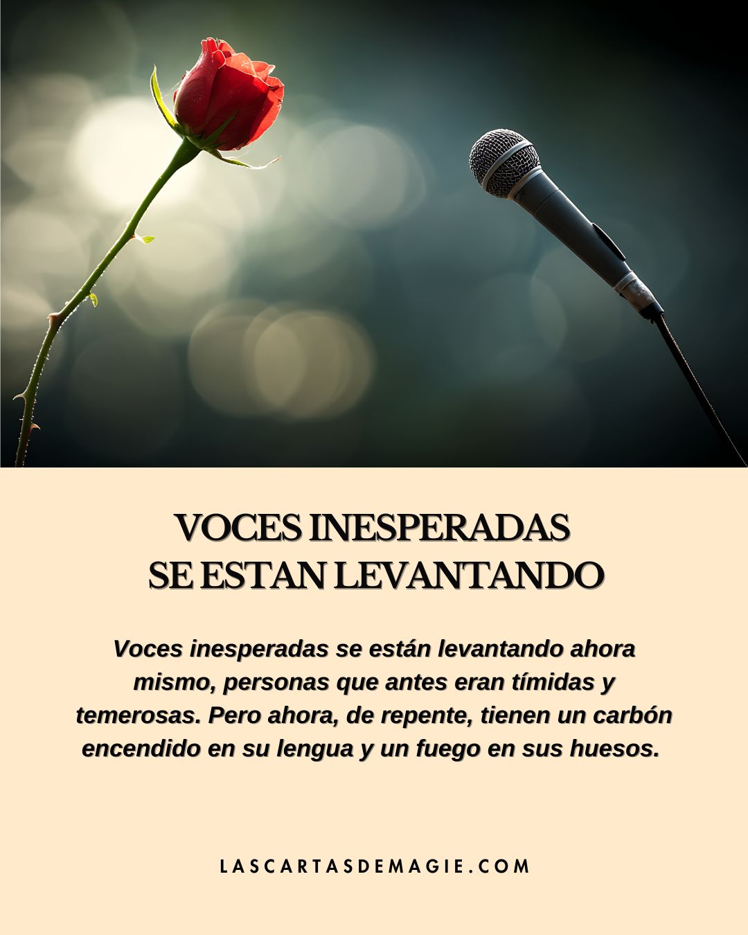 Voces inesperadas se están levantando - Las Cartas de Magie