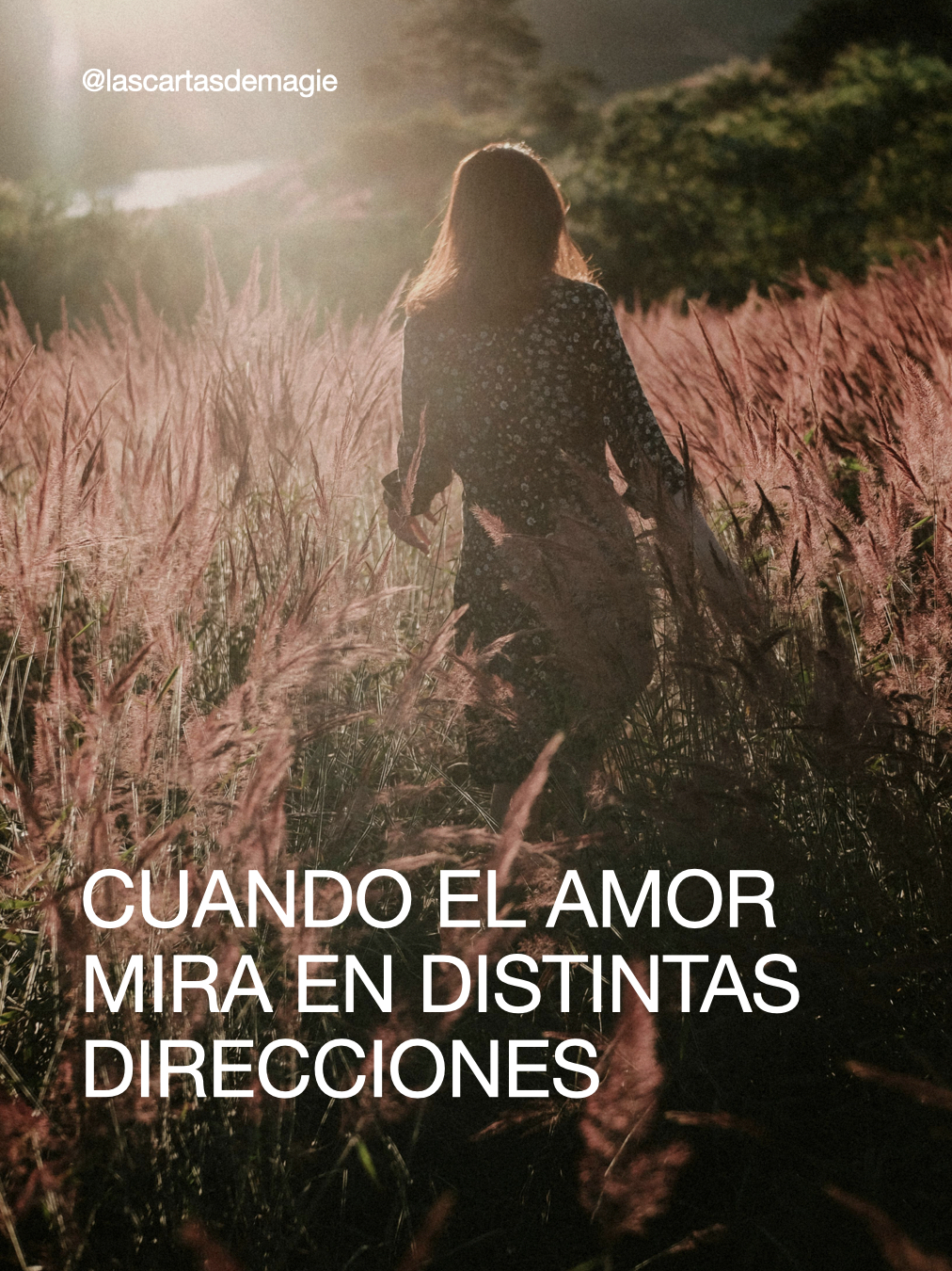 Cuando el amor mira en direcciones distintas - Las Cartas de Magie