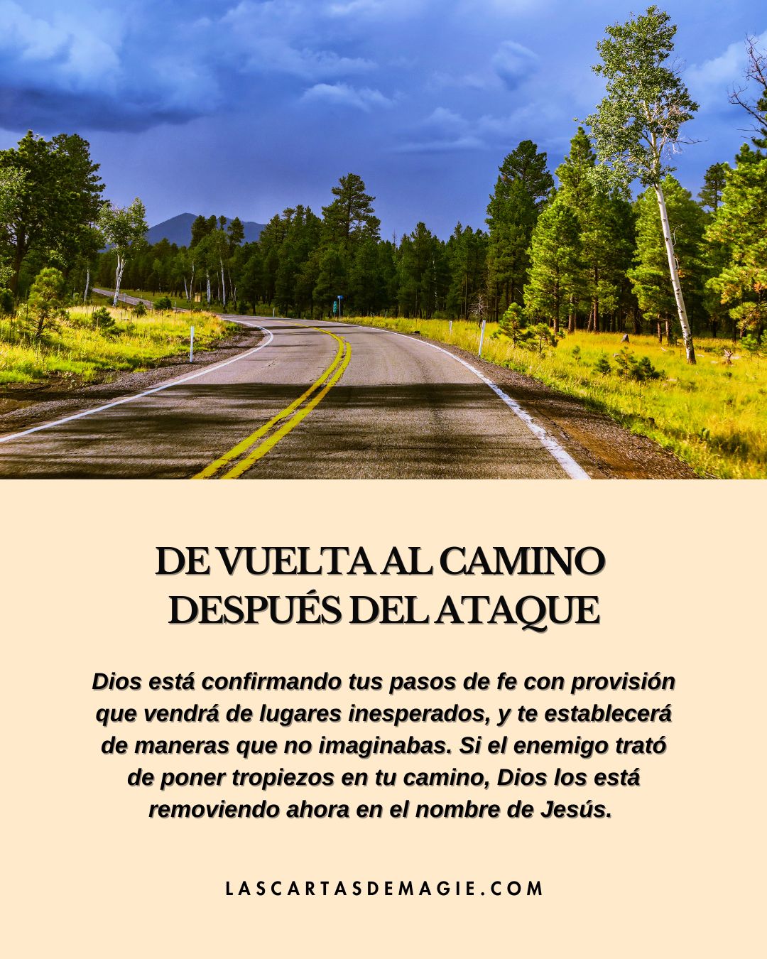 De vuelta al camino después del ataque - Las Cartas de Magie