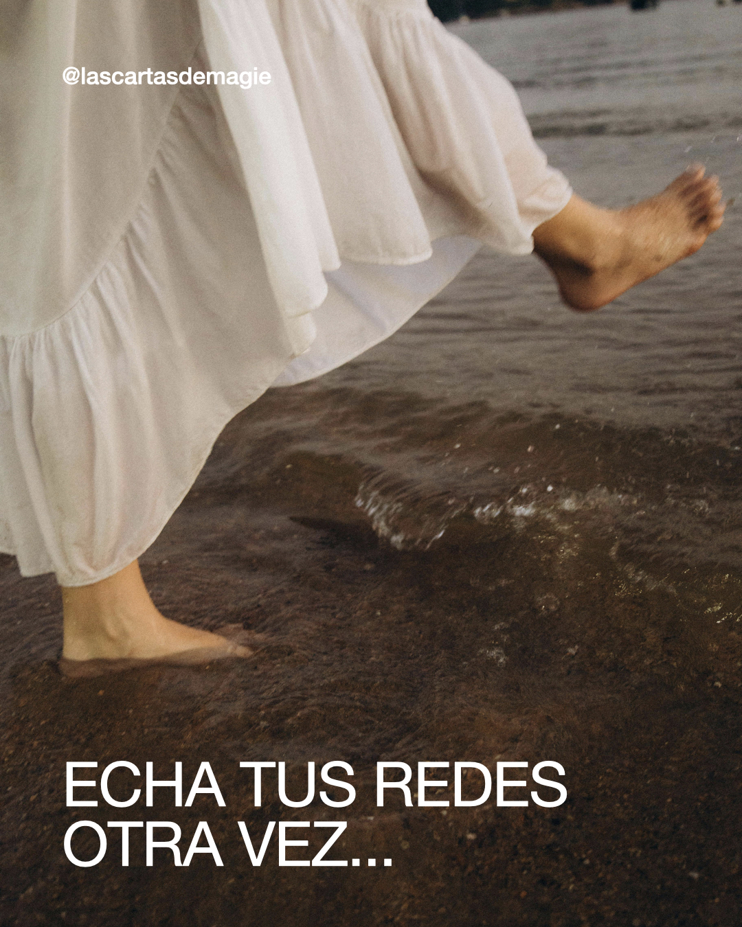 Echa tus redes otra vez - Las Cartas de Magie