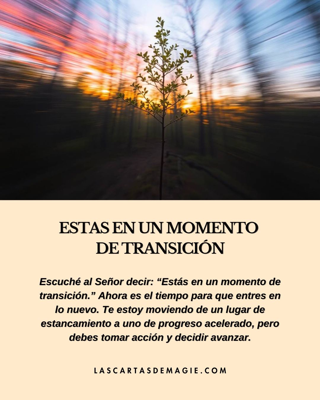 Estás en un momento de transición - Las Cartas de Magie