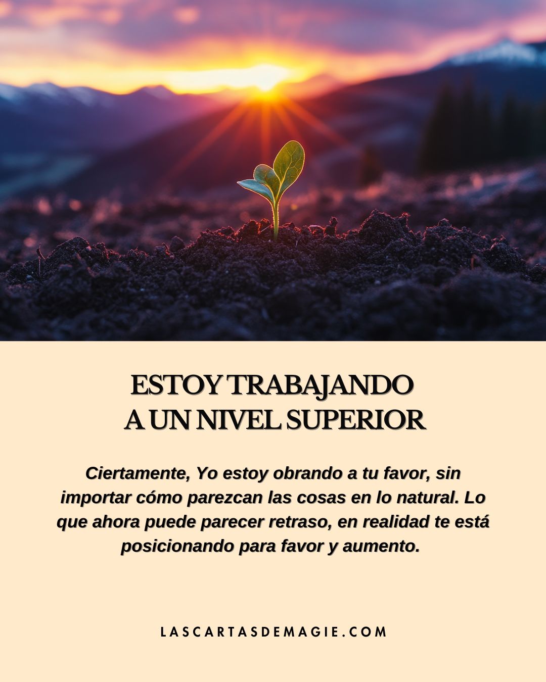 Estoy trabajando a un nivel superior - Las Cartas de Magie