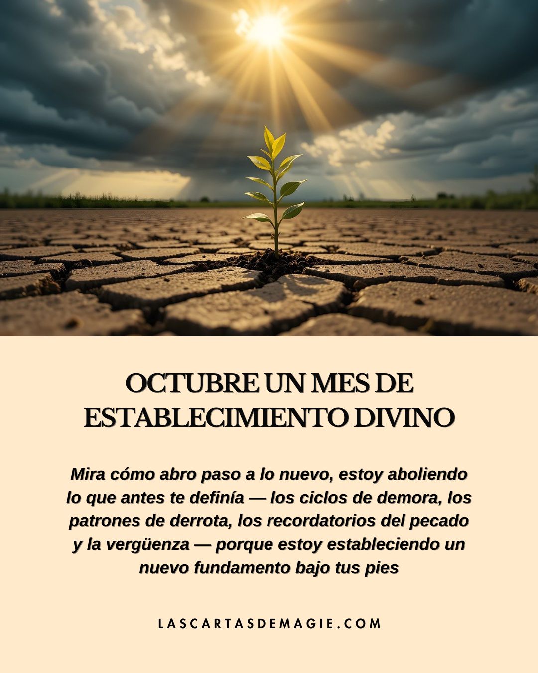 Octubre un mes de establecimiento divino - Las Cartas de Magie