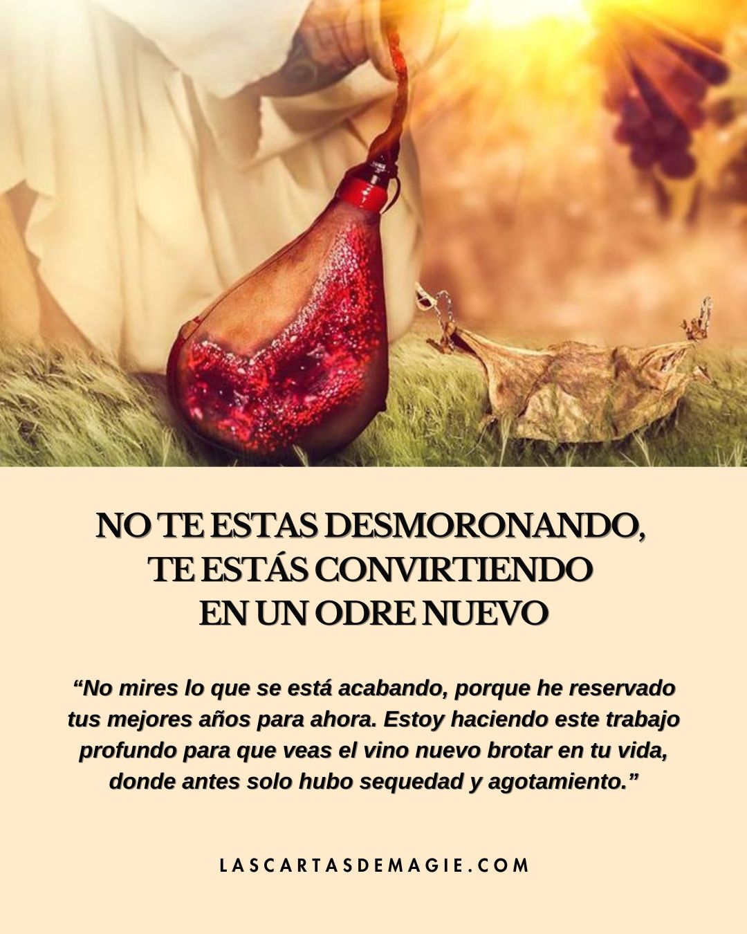 No te estás desmoronando, te estás convirtiendo en un odre nuevo - Las Cartas de Magie