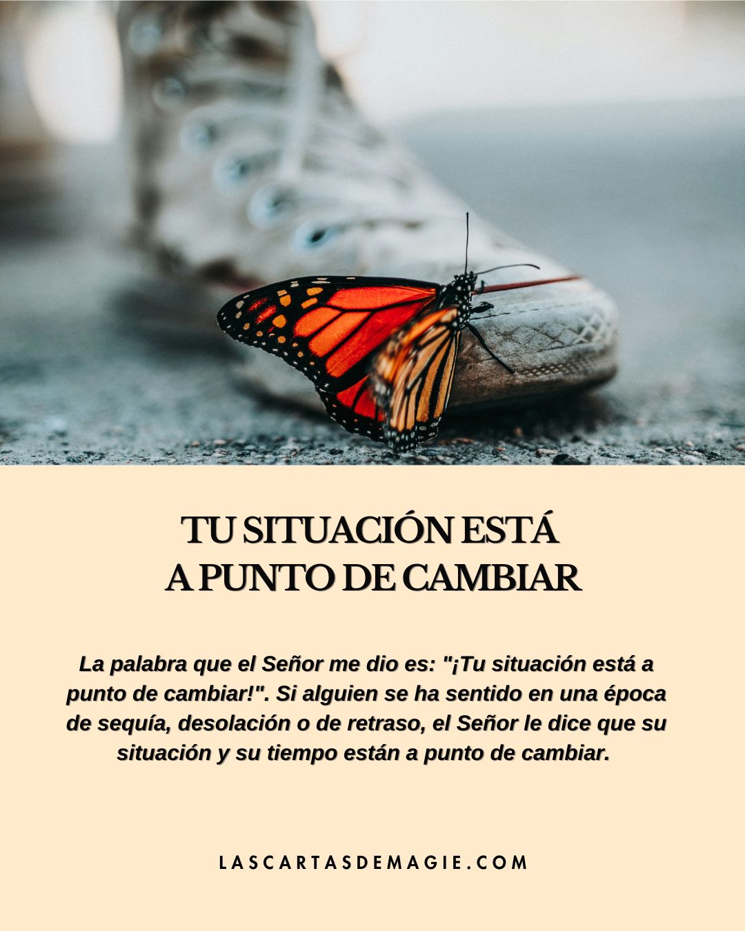 Tu situación está a punto de cambiar - Las Cartas de Magie
