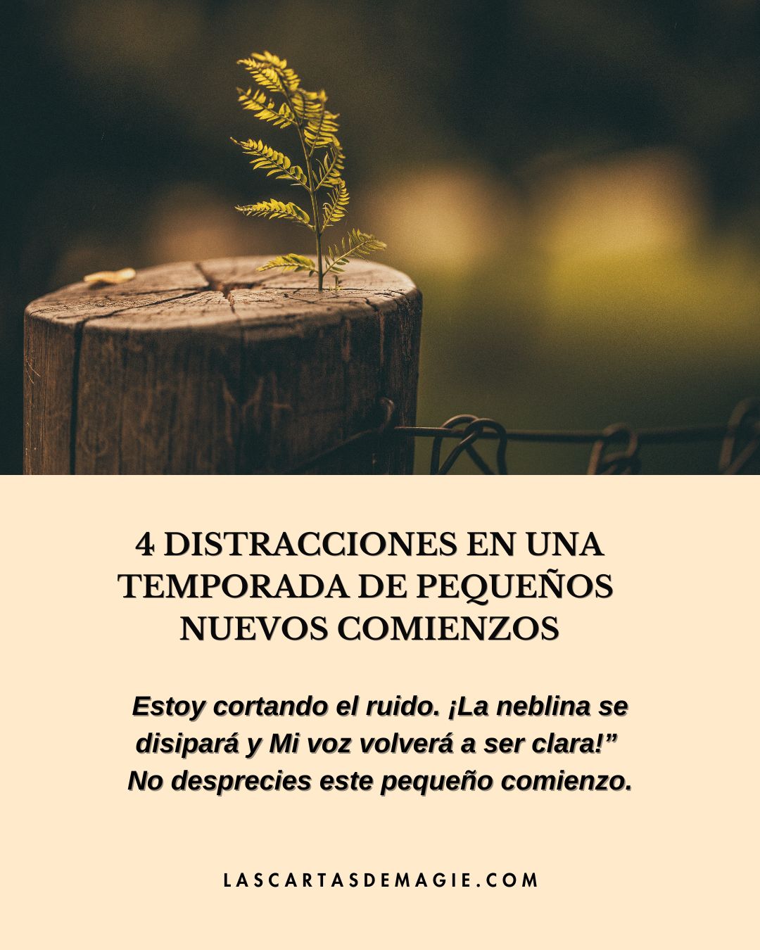 4 distracciones en una temporada de pequeños nuevos comienzos - Las Cartas de Magie