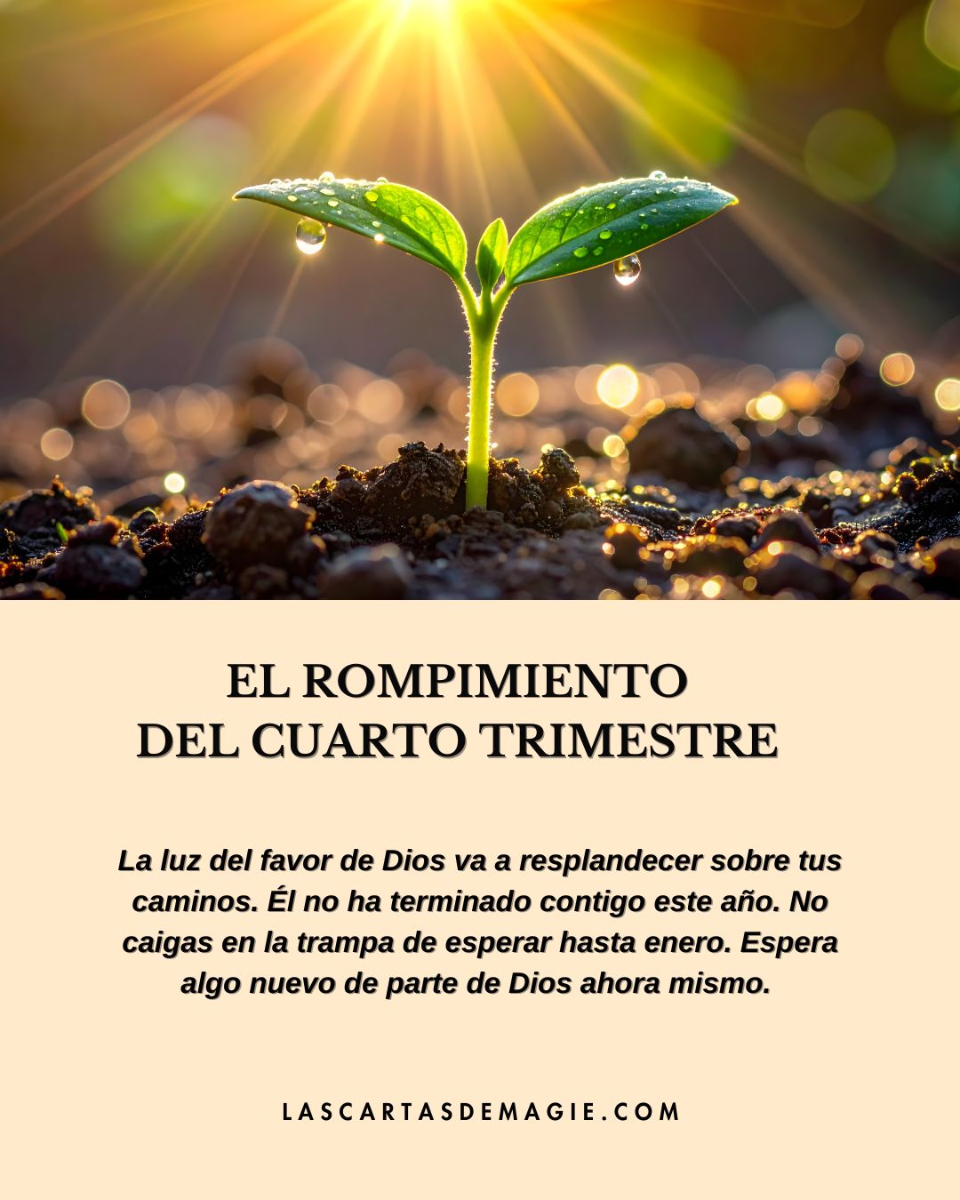 El rompimiento del cuarto trimestre - Las Cartas de Magie