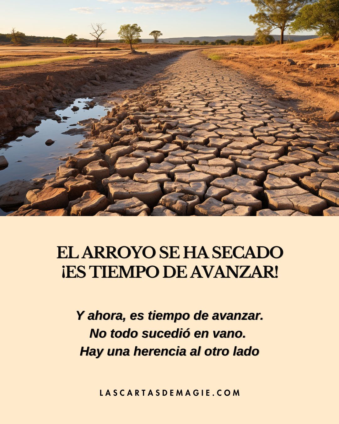 El arroyo se ha secado: Es tiempo de avanzar - Las Cartas de Magie