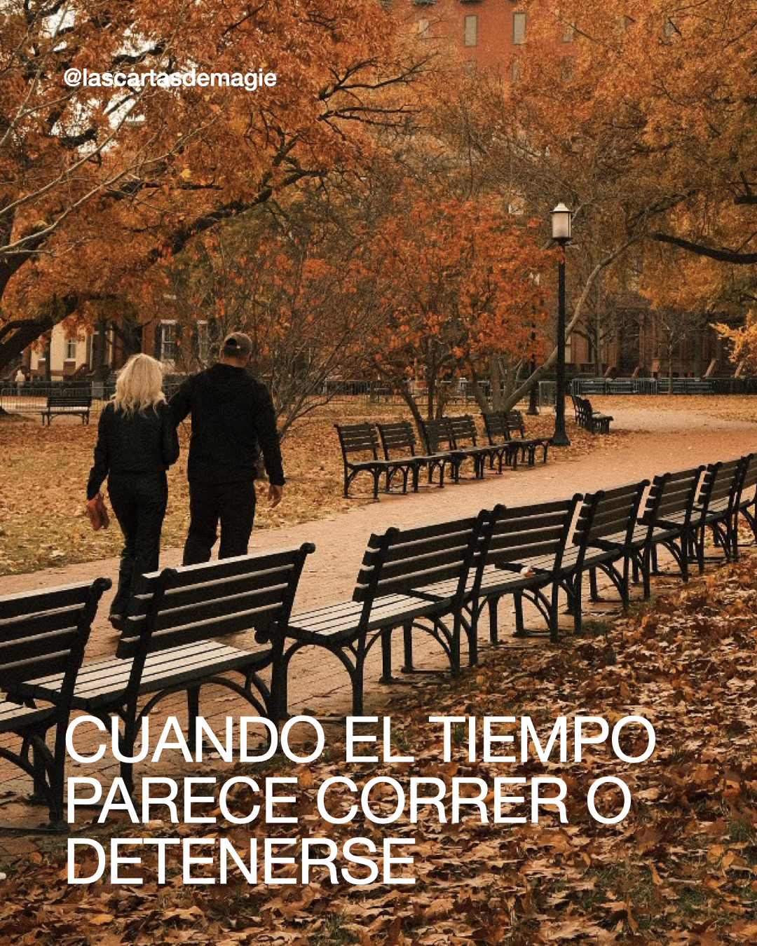 Cuando el tiempo parece correr o detenerse - Las Cartas de Magie