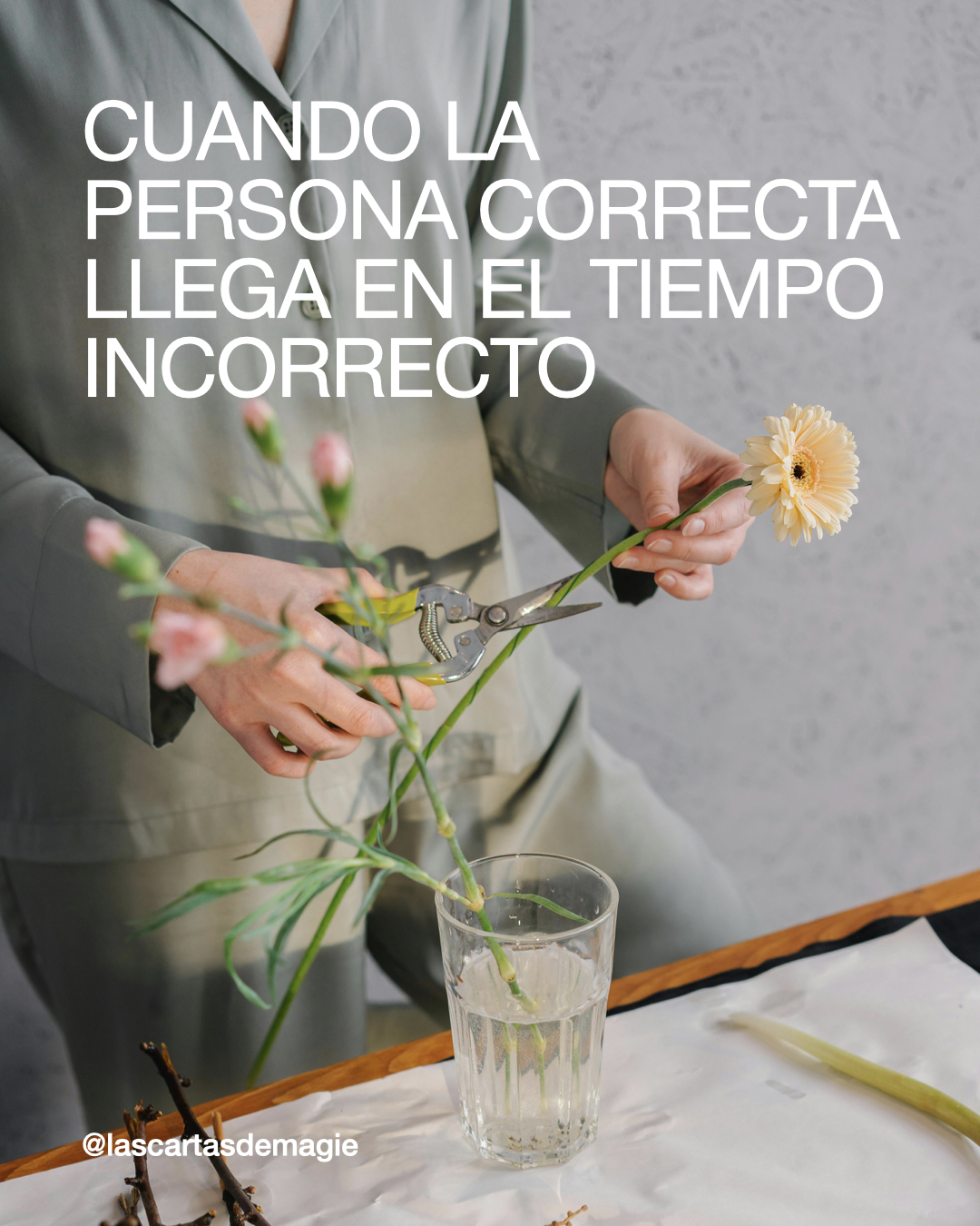 Cuando la persona correcta llega en el tiempo incorrecto - Las Cartas de Magie