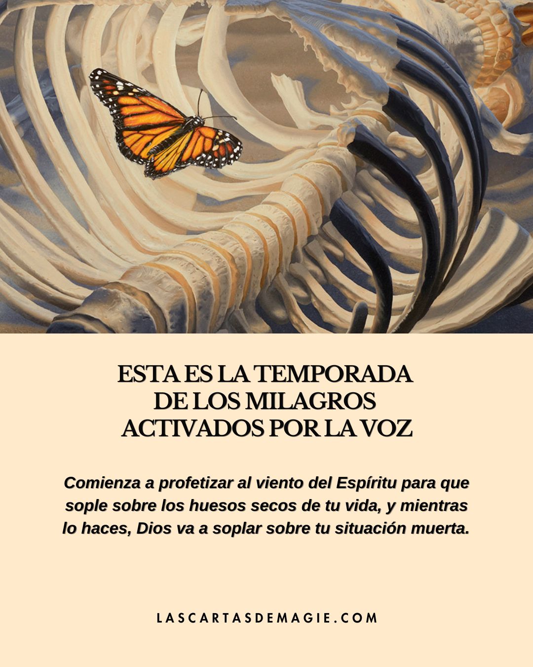 Esta es la temporada de los milagros activados por la voz - Las Cartas de Magie
