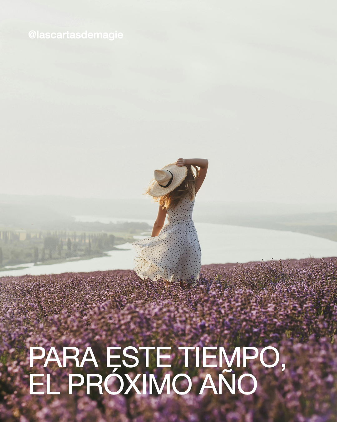 Para este tiempo, el próximo año - Las Cartas de Magie
