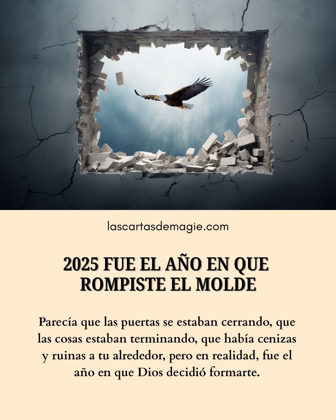 2025 fue el año en que rompiste el molde - Las Cartas de Magie