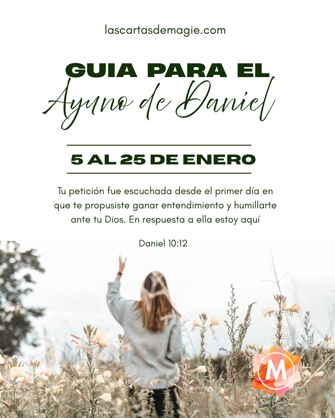 Guía para el ayuno de Daniel - Las Cartas de Magie