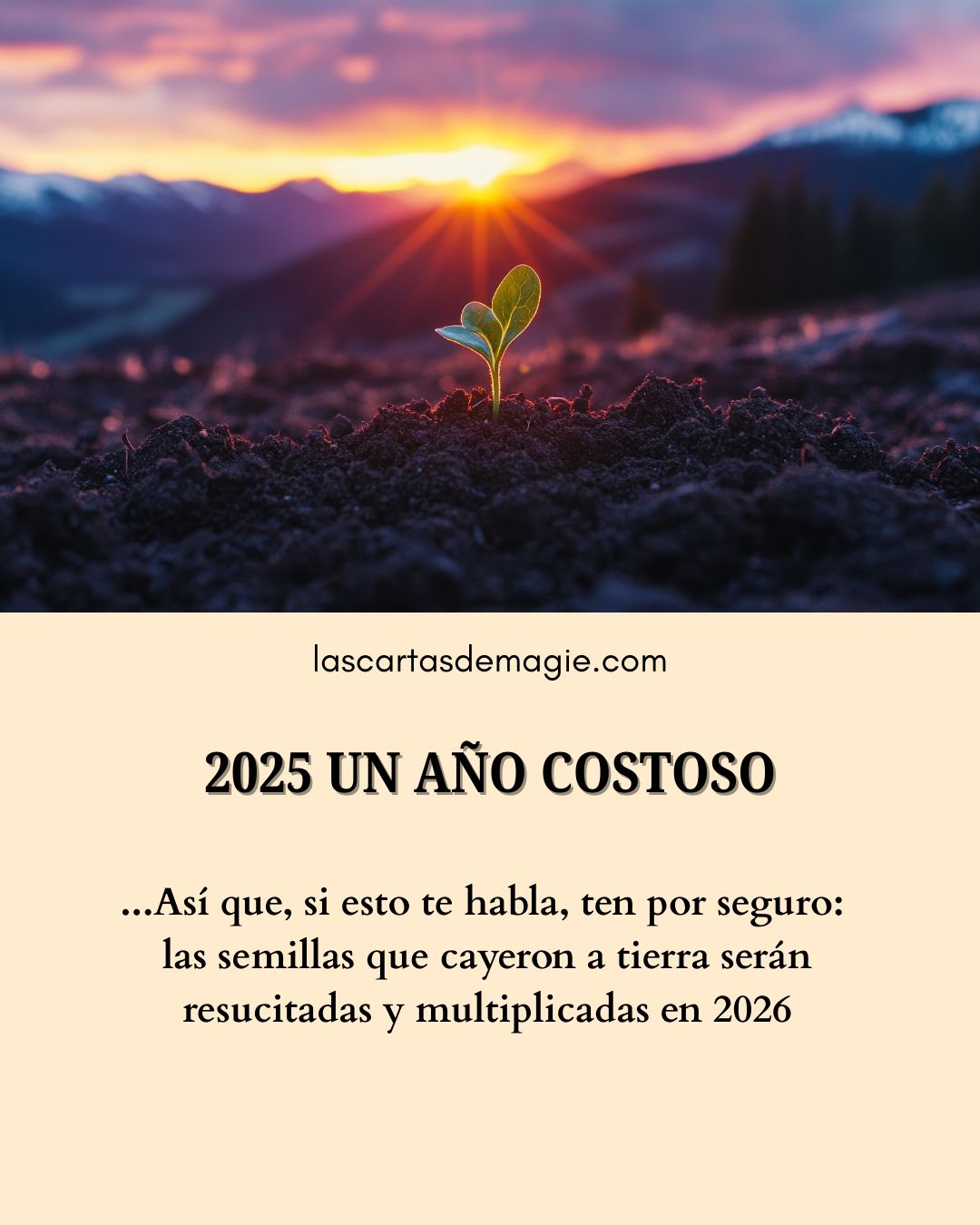 2025 un año costoso - Las Cartas de Magie