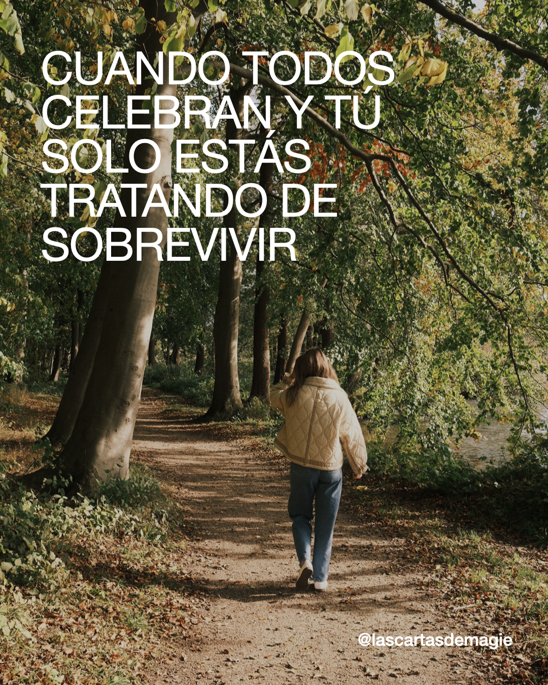 Cuando Todos Celebran y Tú Solo Estás Tratando de Sobrevivir - Las Cartas de Magie