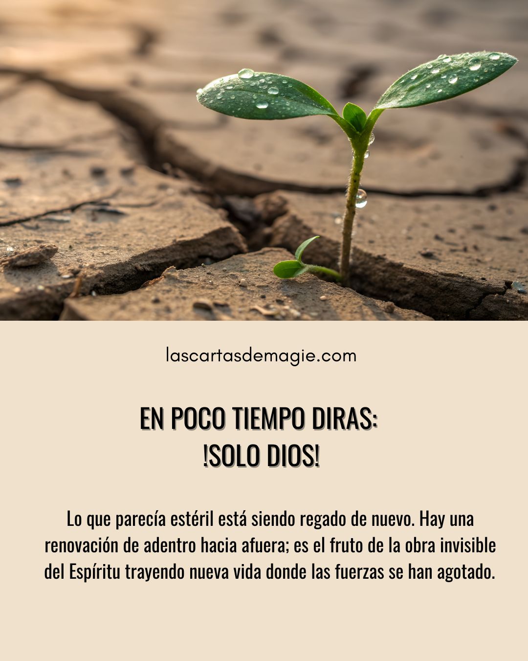 En poco tiempo dirás: !Solo Dios! - Las Cartas de Magie