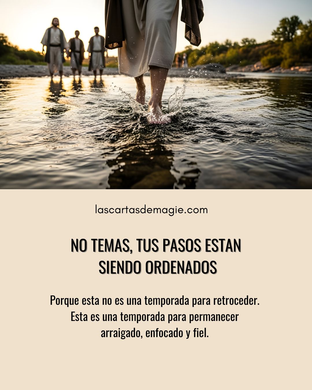 No temas, tus pasos están siendo ordenados - Las Cartas de Magie