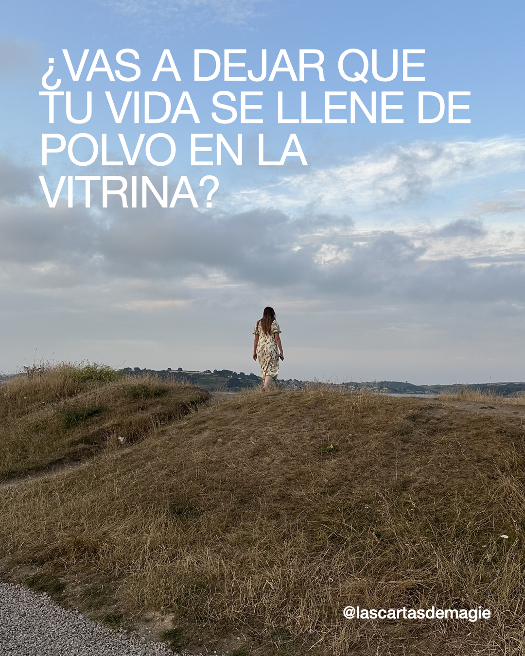 ¿Vas a Dejar que tu Vida se Llene de Polvo en la Vitrina? - Las Cartas de Magie