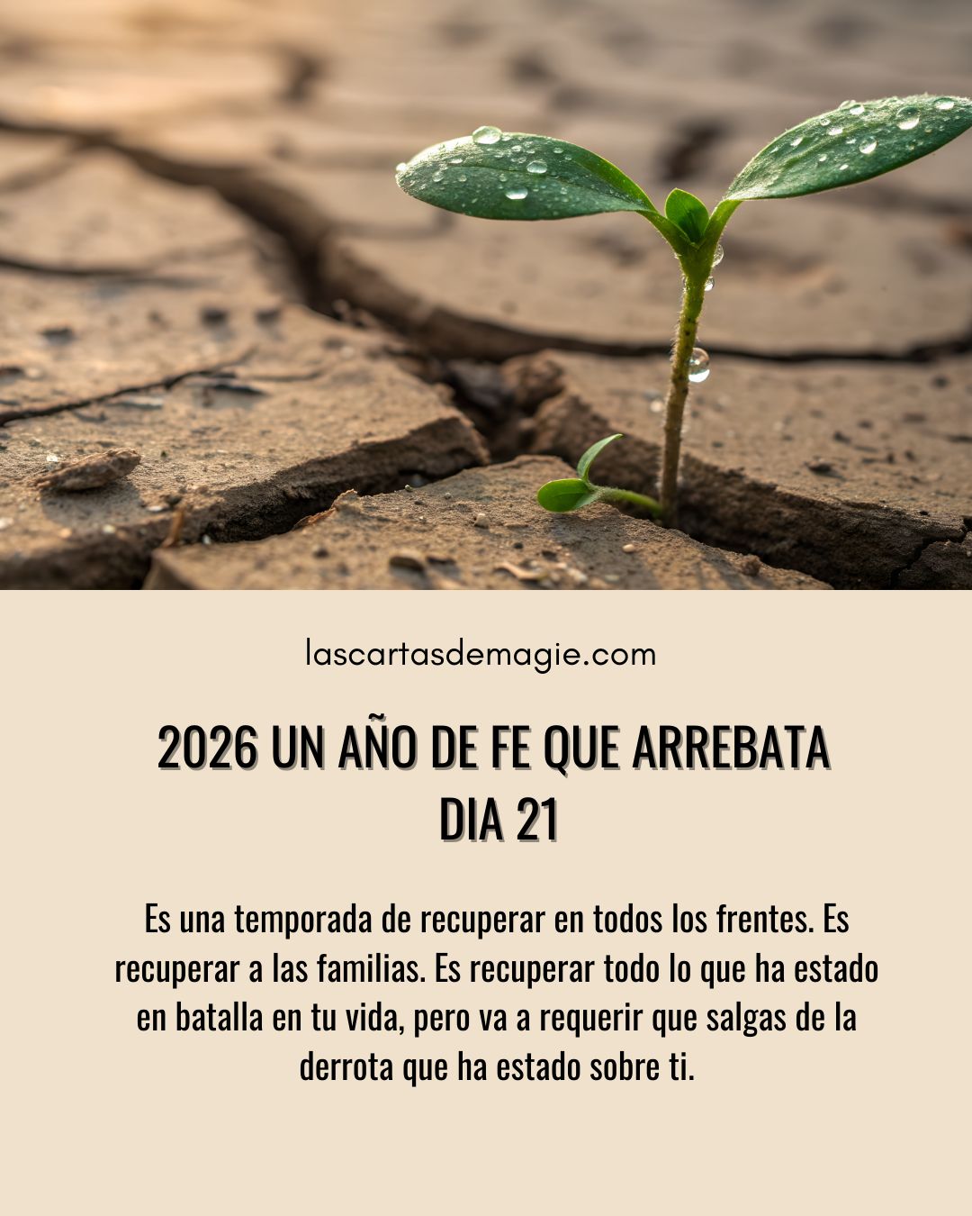 2026 un año de fe que arrebata – Día 21 - Las Cartas de Magie