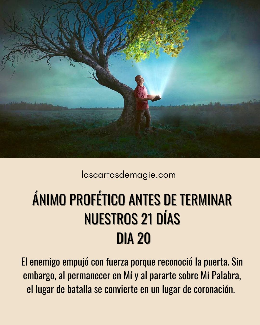Ánimo profético – Día 20 - Las Cartas de Magie