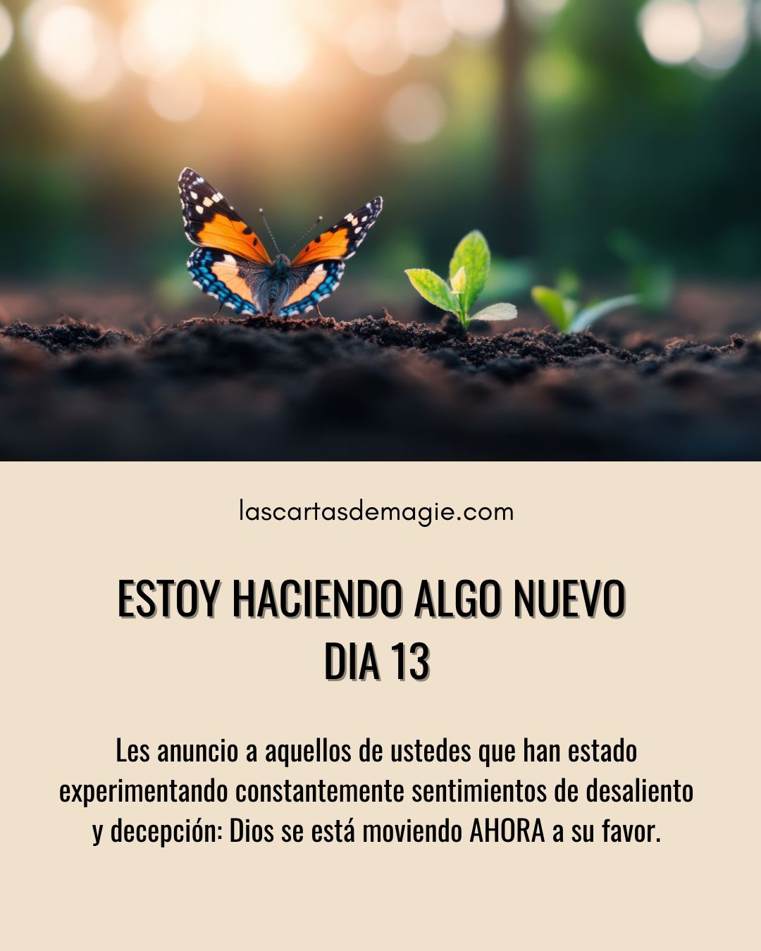 Estoy haciendo algo nuevo – Día 13 - Las Cartas de Magie
