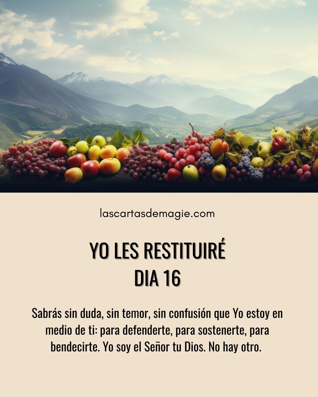 Yo les restituiré – Día 16 - Las Cartas de Magie