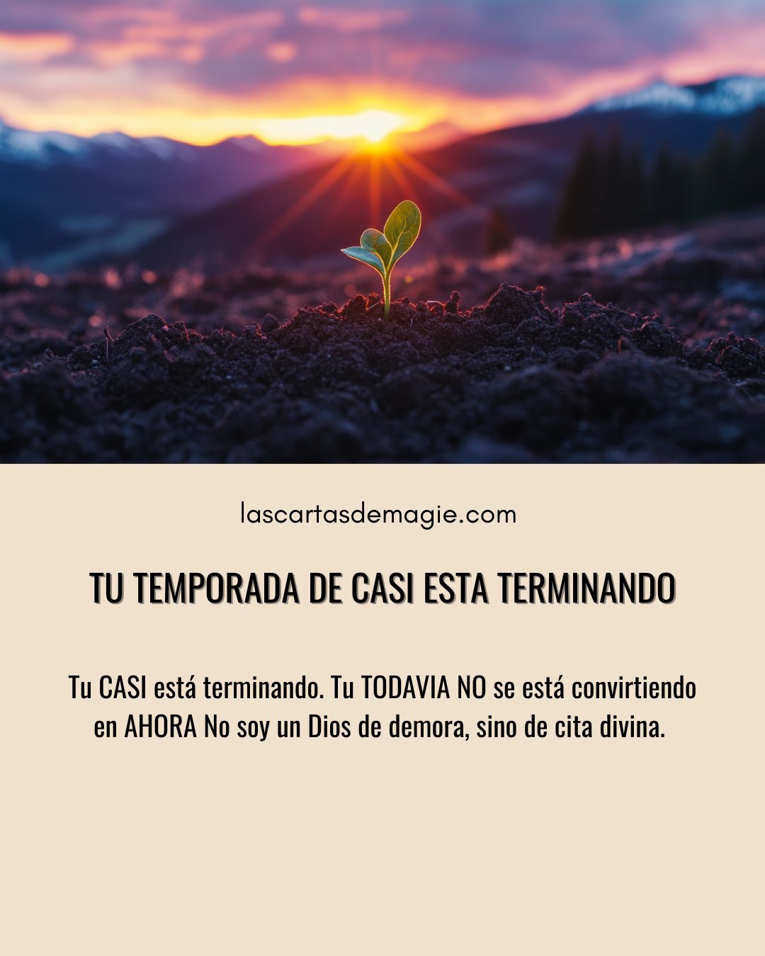 Tu temporada de casi está terminando - Las Cartas de Magie