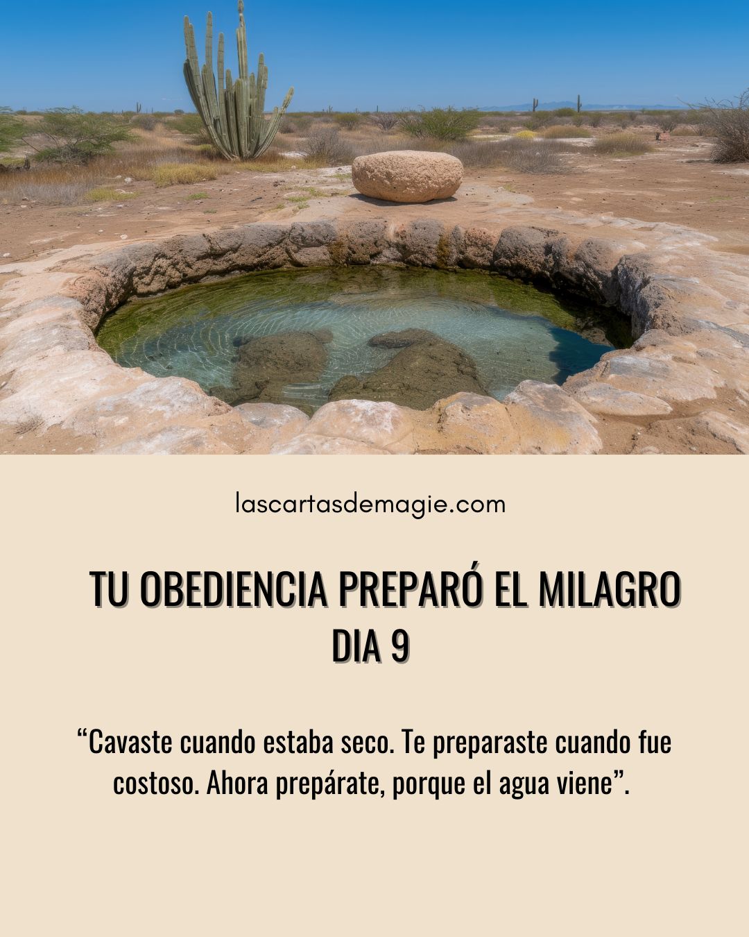 Tu obediencia preparó el milagro – Día 9 - Las Cartas de Magie