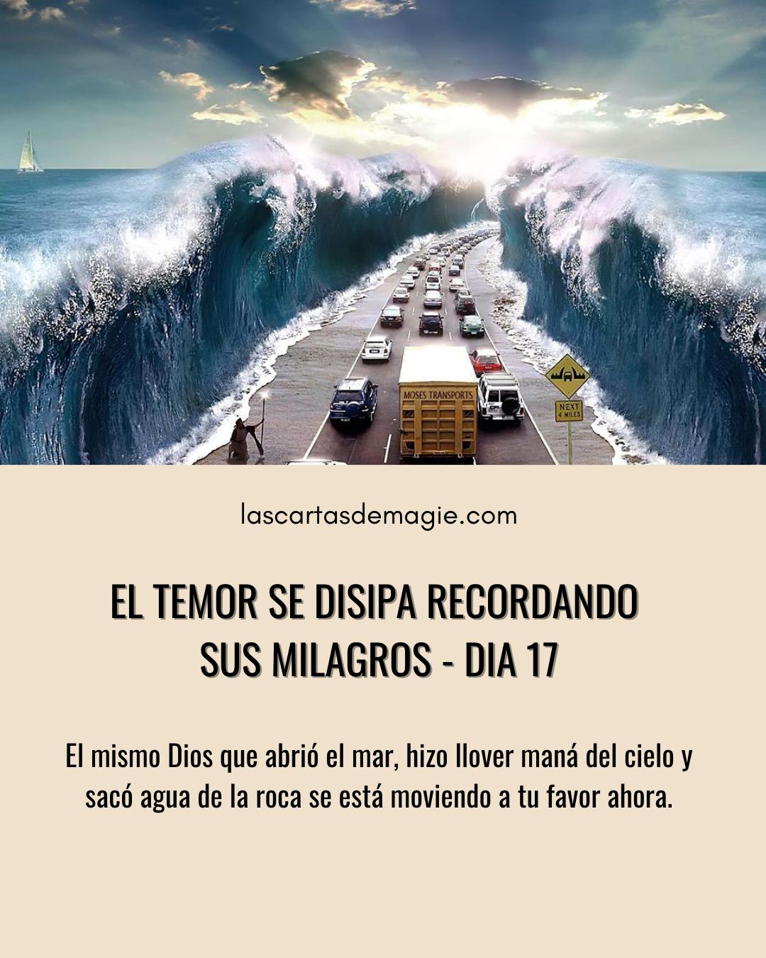 El temor se disipa recordando sus milagros – Día 17 - Las Cartas de Magie