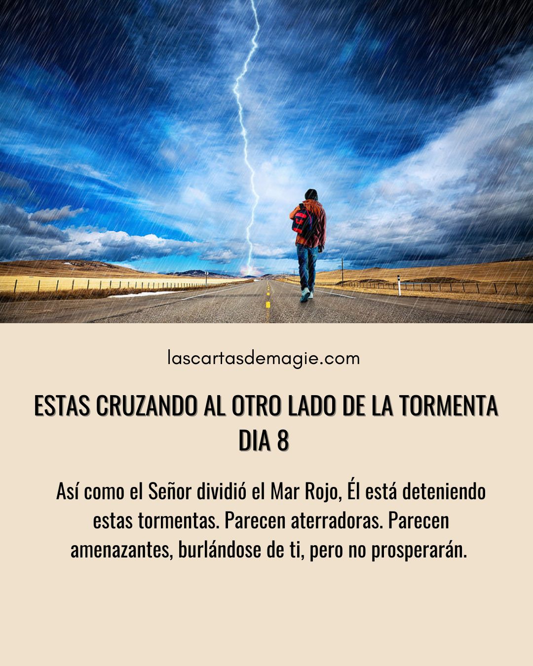 Estás cruzando al otro lado de la tormenta – Día 8 - Las Cartas de Magie