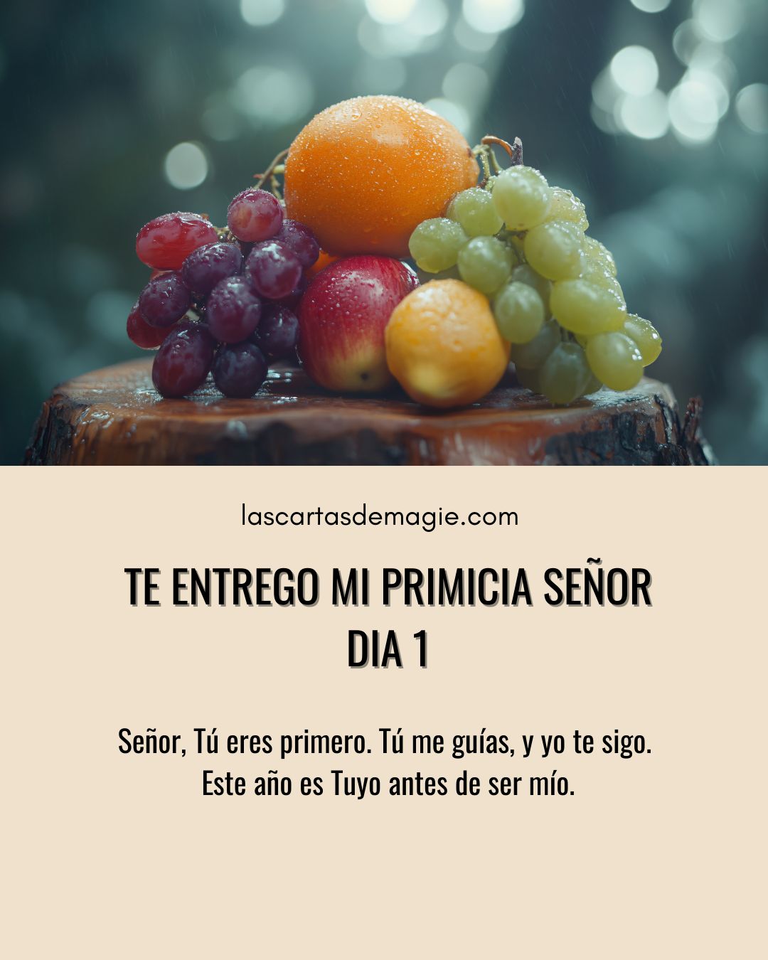 Te entrego mi primicia Señor – Día 1 - Las Cartas de Magie