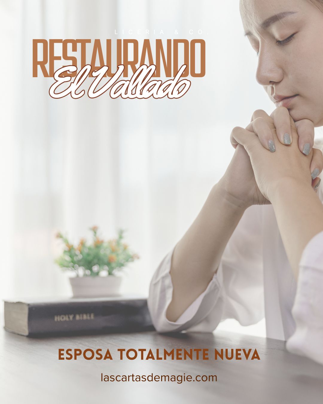 Restaurando el Vallado - Las Cartas de Magie