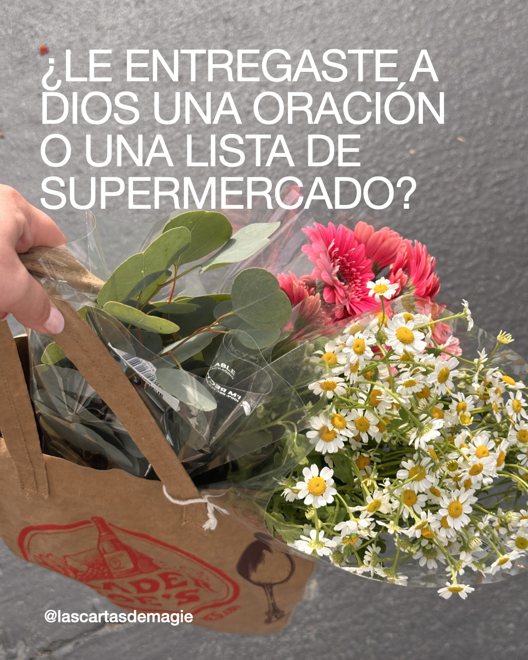 ¿Le Entregaste a Dios una Oración o una Lista de Supermercado? - Las Cartas de Magie