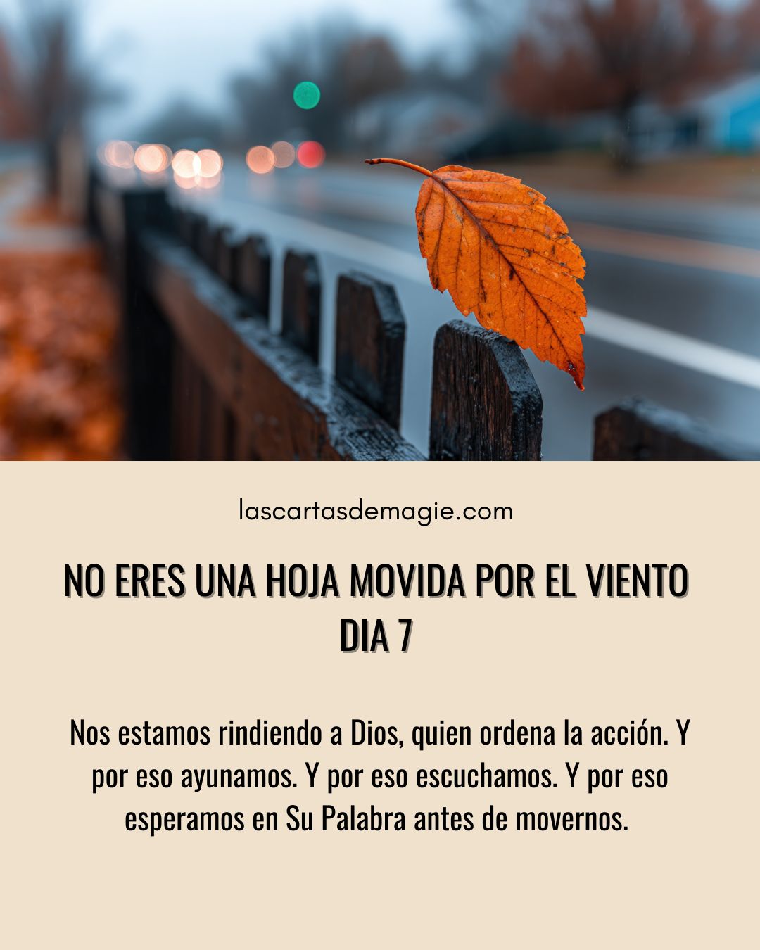No eres una hoja movida por el viento – Día 7 - Las Cartas de Magie