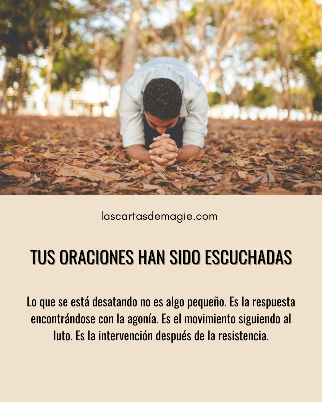 Tus oraciones han sido escuchadas - Las Cartas de Magie