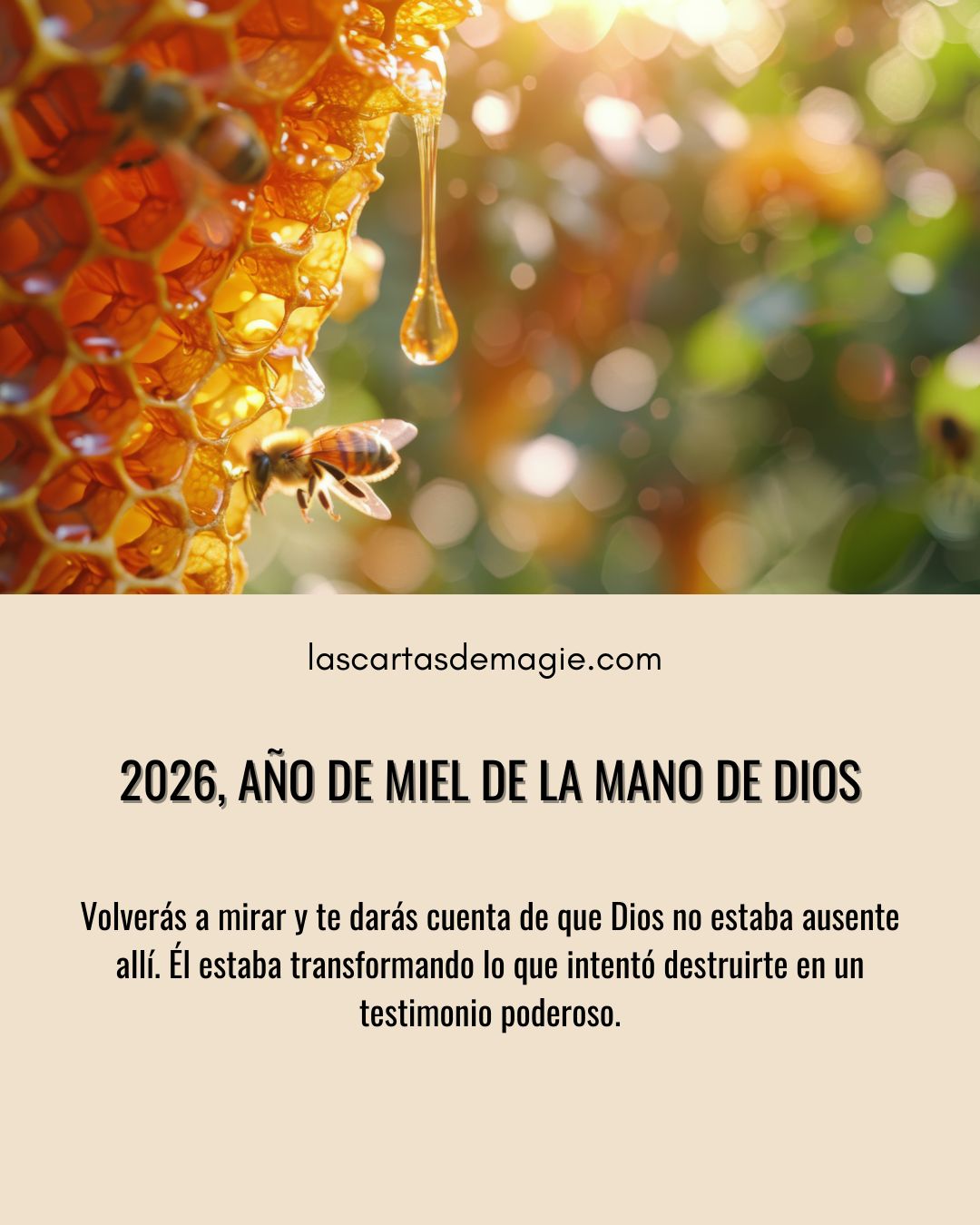 2026 año de miel de la mano de Dios - Las Cartas de Magie