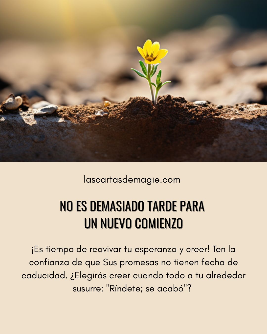 No es demasiado tarde para un nuevo comienzo - Las Cartas de Magie